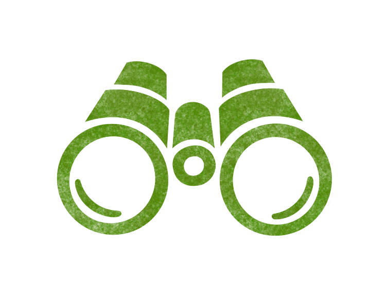 Icon-Fernglas-flach-web
