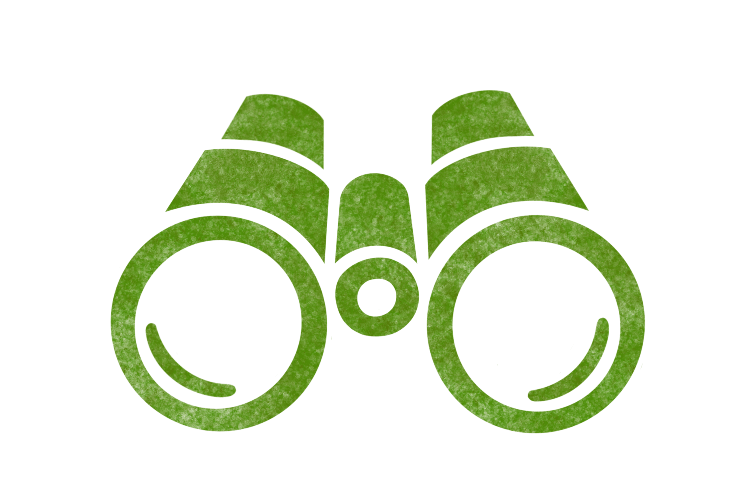 Icon-Fernglas-flach-web