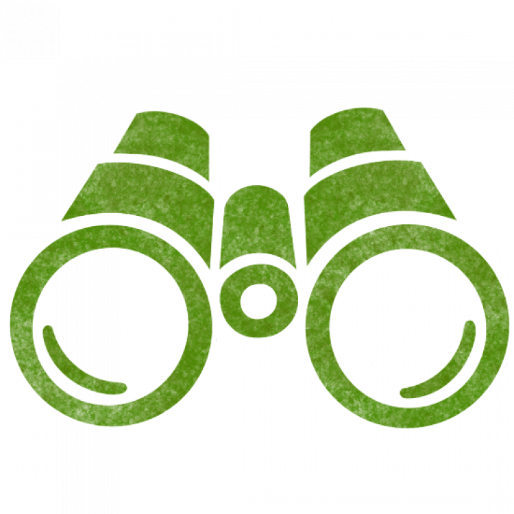 Icon-Fernglas-flach-web