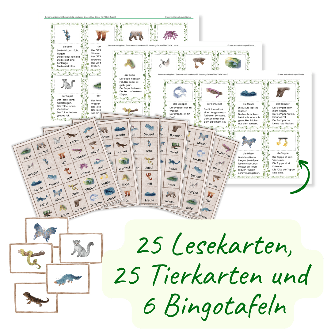 Mockup Material-Paket Pseudowörter - Bingo